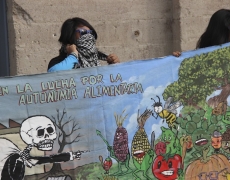 Comunidades mayas ganan juicio contra Monsanto