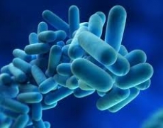 CURSO GRATUITO BIOCIDAS PARA LA HIGIENE VETERINARIA, HOMOLOGADO POR EL IFAPA
