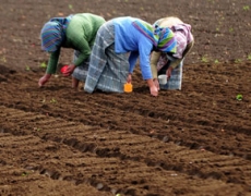 Día Mundial de la Mujer Rural