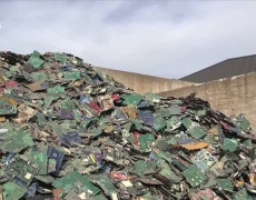 El escarabajo verde. Economía circular