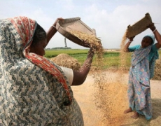 Soberanía alimentaria, una perspectiva feminista