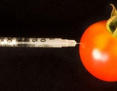 Comemos veneno: “El cáncer, la infertilidad y la diabetes son por la comida”