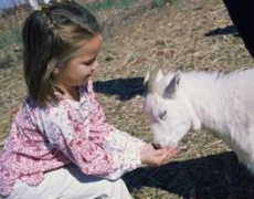 Santuarios de animales: volver a la vida