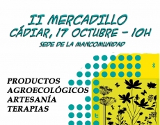 Mercadillo de Ser-vidas en Red en el Encuentro Provincial por la Igualdad de Género, 17 de Octubre 2015, Cadiar