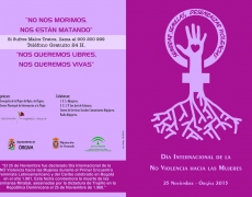 DIA INTERNACIONAL DE LA NO VIOLENCIA HACIA LAS MUJERES